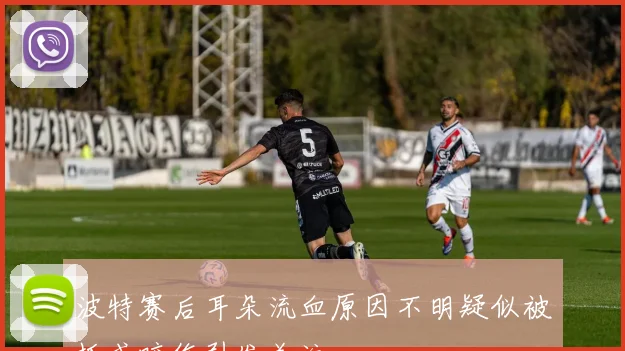 波特赛后耳朵流血原因不明疑似被抓或咬伤引发关注
