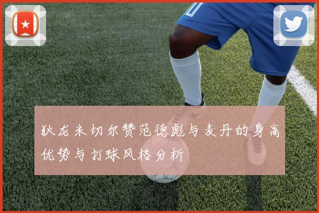 狄龙米切尔赞范德彪与麦丹的身高优势与打球风格分析